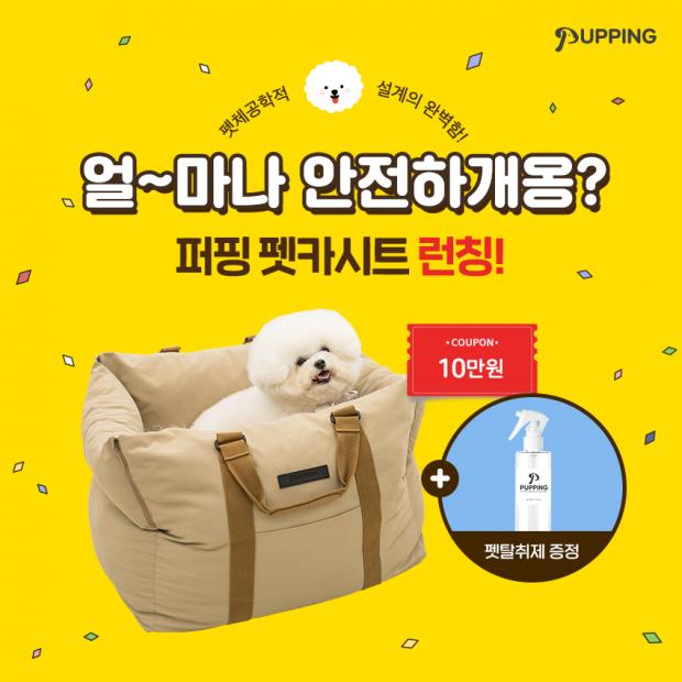 안전동행 이미지