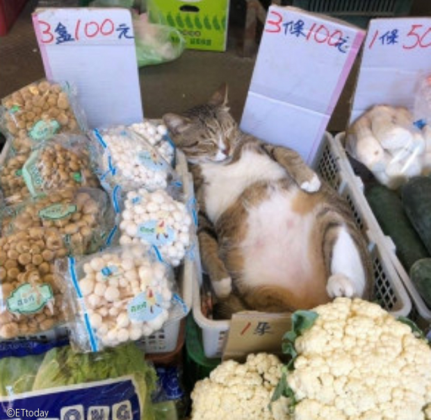 야채가게 이미지