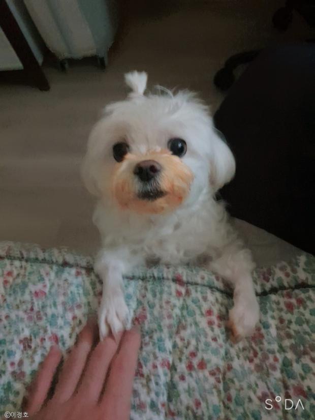 밥도둑게장 이미지