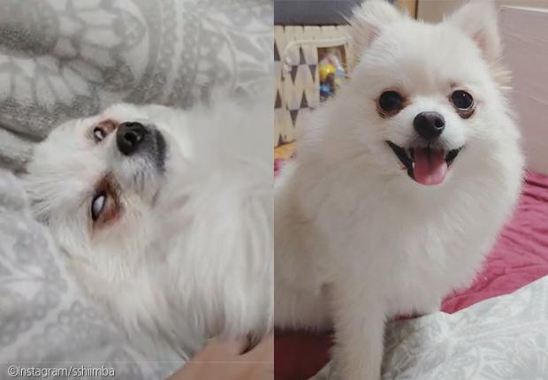 보고 이미지