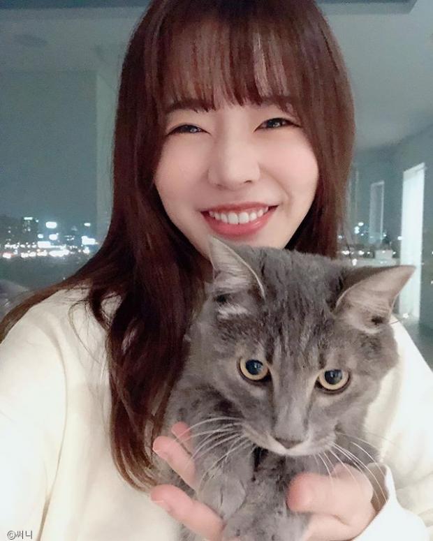 써니펫 이미지