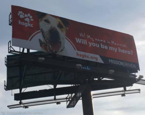 두 동물단체가 시내 고속도로 광고판에 세운 메릭의 광고.