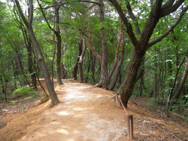 북한산 국립공원 소나무숲길. 출처 국립공원공단 홈페이지