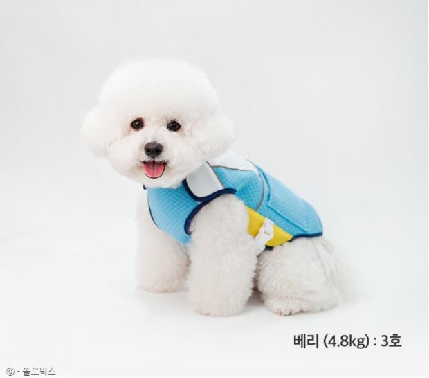 아이스+펫 이미지