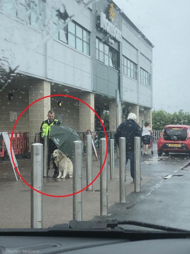 영국 마트 보안요원이 마트 앞에서 보호자를 기다리는 반려견에게 자신의 우산을 씌웠다.