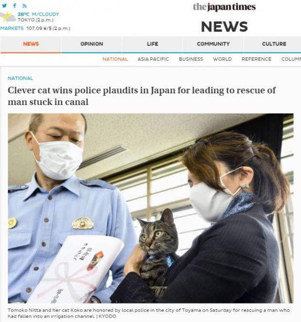 일본 최대 영자지 재팬 타임스가 경찰의 고양이 코코 포상 소식을 보도했다. [출처: 재팬타임스 홈페이지 갈무리]