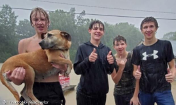 소년들이 폭우 속에 물에 뛰어들어, 익사 위기에 처한 개를 구조했다.