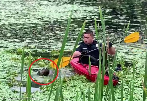 존 쿨리고스키 경관이 카약을 타고 가서, 연못에 목만 내놓고 있는 개 아킬라(빨간 원)를 구조했다.