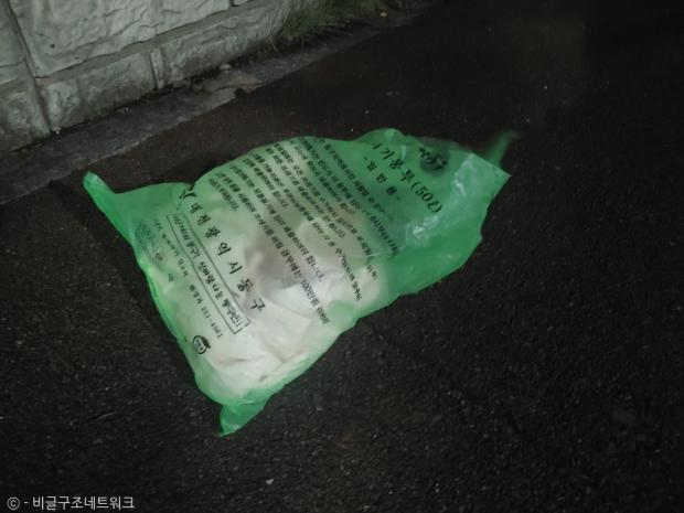 치와와를 담아 버린 대형 쓰레기봉투. 사진 비글구조네트워크 페이스북