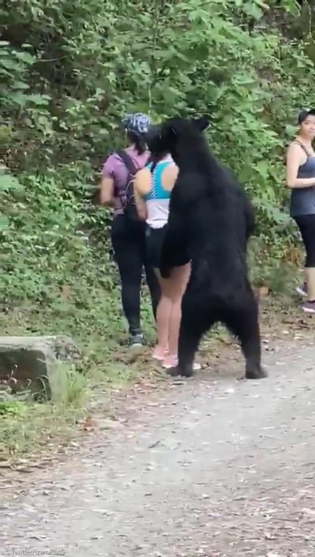 상상하이킹 이미지