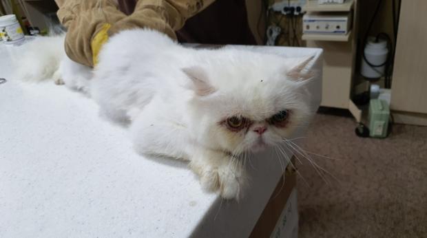 운봉읍(남원) 이미지