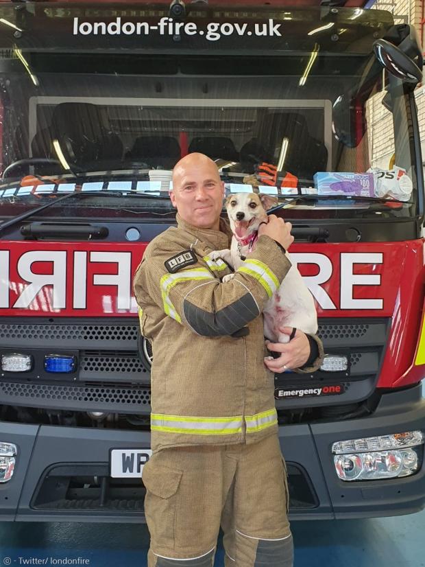 제이미 트루 소방대장이 화재현장에서 구조한 잭 러셀 테리어 개 밀리를 안고 있다. 그는 밀리를 임시보호하기로 했다.