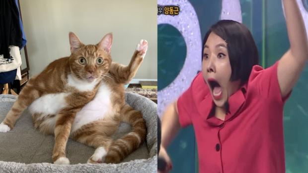 MBC 음악 프로그램 '복면가왕'에서 출연자의 정체를 알고 코미디언 신봉선이 깜짝 놀란 모습과 닮았다. [출처: MBC]