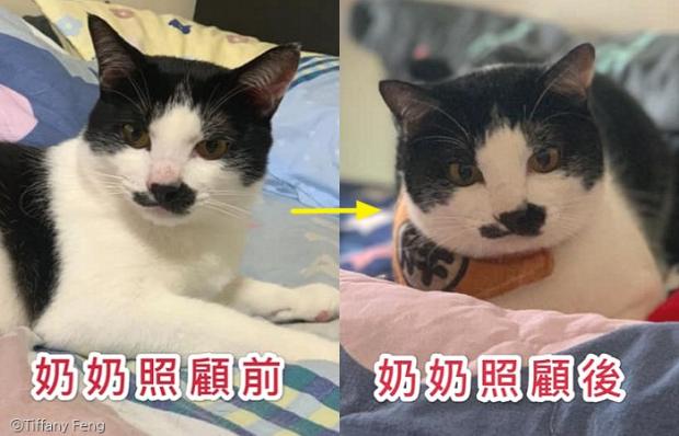 할머니집 이미지