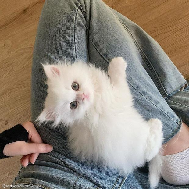 알지미용실 이미지