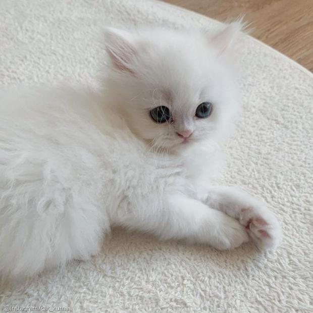 온세상미용실 이미지