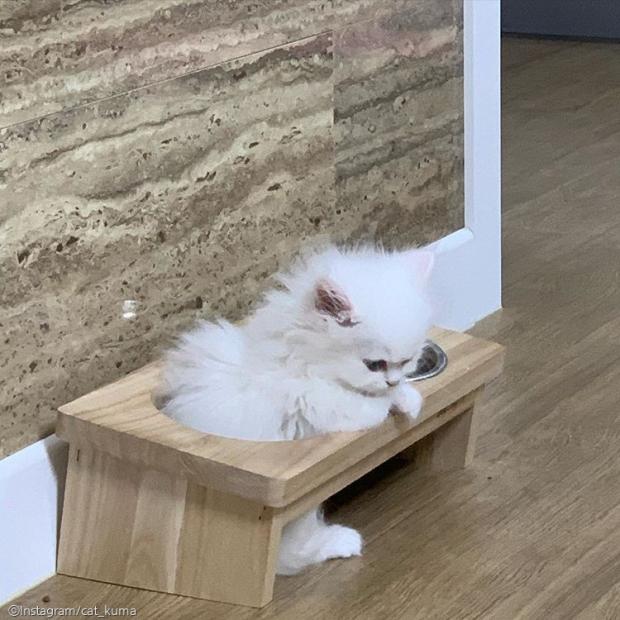 온세상미용실 이미지