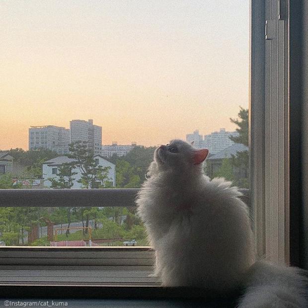 엄마미용실 이미지