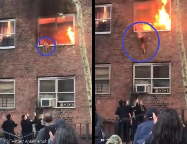 황색 고양이(파란 원)이가 불이 난 아파트 2층 창가에서 경찰과 주민들의 응원을 받으며 뛰어내렸다. [출처: Aaron Ganaway]