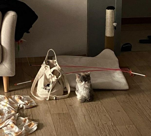 떡가방 이미지