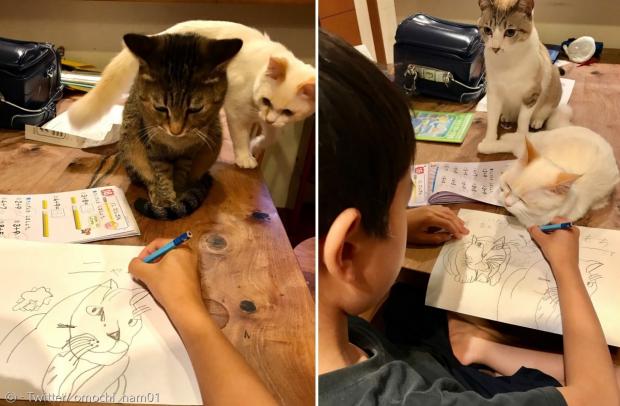 초등생 화가의 재능을 알아본 고양이들이 줄을 섰다.