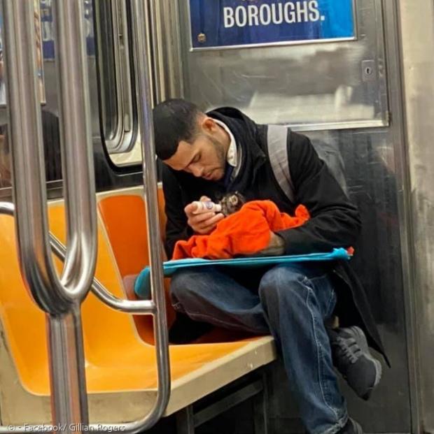 한 남성이 뉴욕 지하철에서 새끼고양이에게 젖병으로 우유를 먹이는 모습이 포착됐다. [출처: Facebook/ Gillian Rogers]