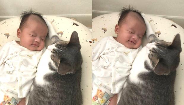 쓰담쓰담 이미지