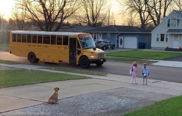 6살 카일리와 5살 맥케나가 스쿨버스를 기다릴 동안 4개월령 강아지 벤틀리가 뒤에서 둘을 지켜보고 있다. [출처: Facebook/ Melissa Nixon] 