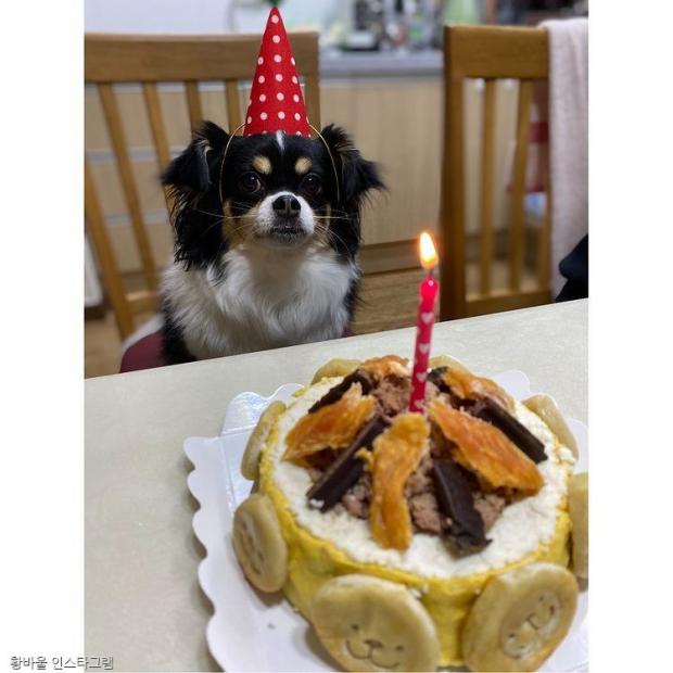 생일 케이크를 앞에 둔 루피. 