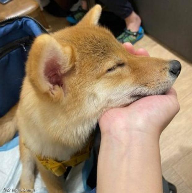 꿈나라 이미지