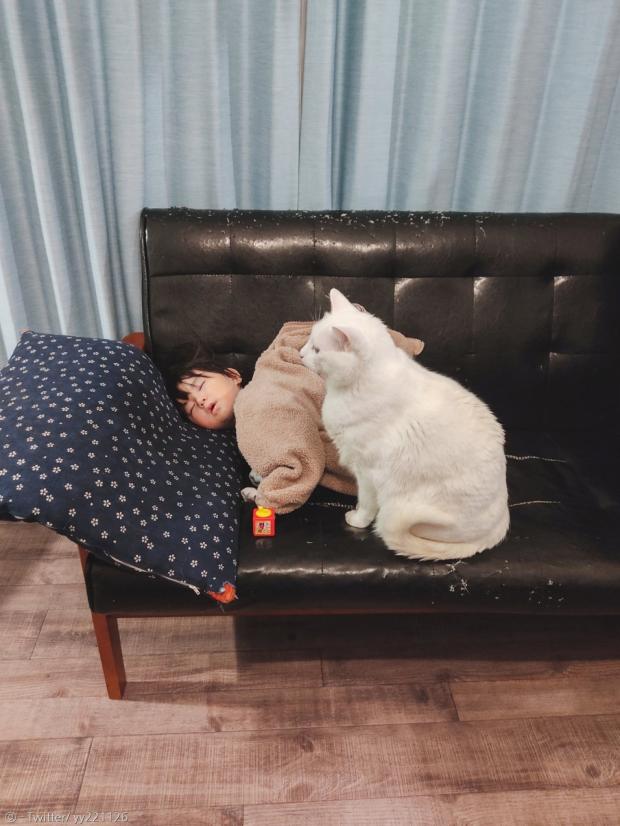 잠든 아이가 소파에서 떨어질까 봐, 울타리가 돼준 고양이 블랑. 