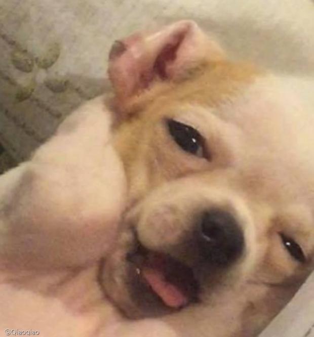 꿀잠 이미지