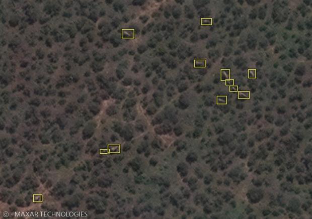 인공지능이 목초지대에서 코끼리(노란 사각형)를 식별하는 훈련을 받았다. [출처: MAXAR TECHNOLOGIES]