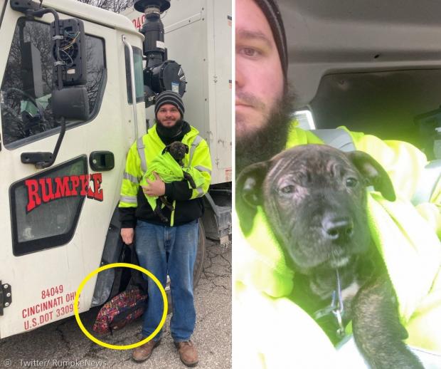 애런 킨절 쓰레기 수거트럭 운전기사가 배낭(노란 원) 안에서 강아지 티퍼를 구조했다. [출처: Twitter/ RumpkeNews]