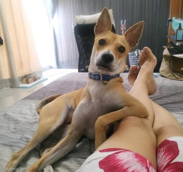 늦잠 이미지