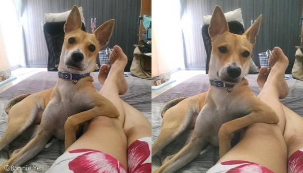 늦잠 이미지