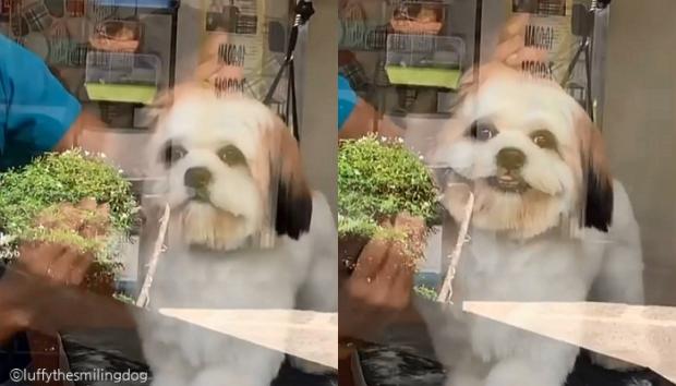 보고 이미지