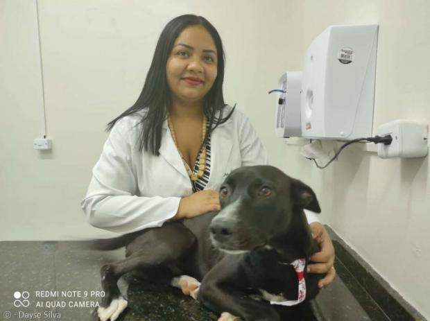 수의사 데이지 실바가 검은 개를 무료로 진찰하고, 치료해줬다. 나중에 나온 검사 결과에서 개는 암 진단을 받았다. [출처: 데이지 실바]