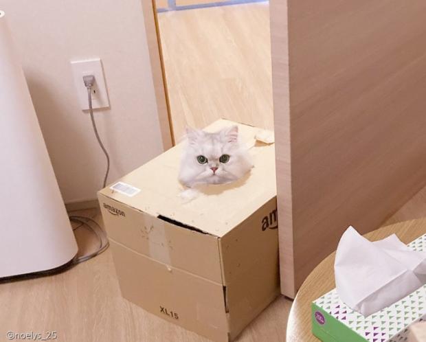 숨숨집 이미지