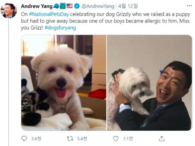 앤드류 양(Andrew Yang) 트위터 