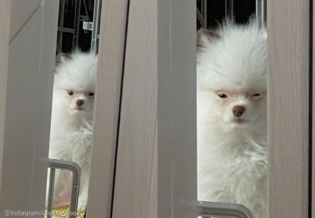 장씨카메라 이미지