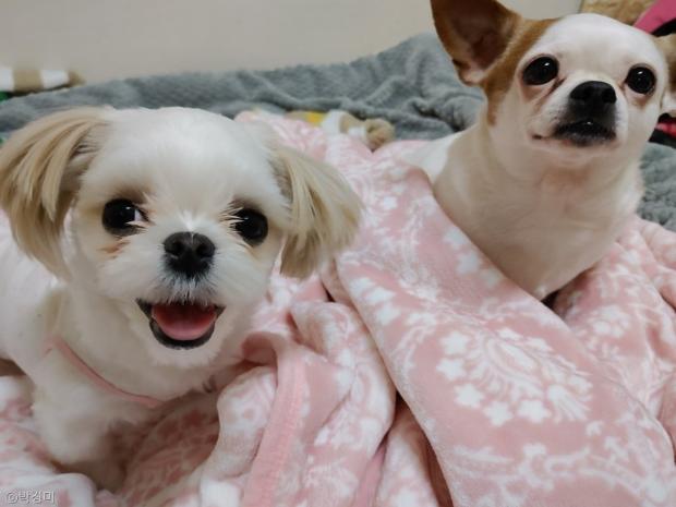 놀자 이미지