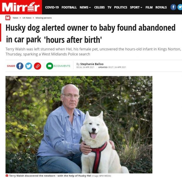 미러가 공원에 버려진 갓난아기를 구한 허스키 반려견 기사를 보도했다. [출처: 데일리미러 갈무리]