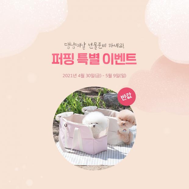 종합카시트 이미지