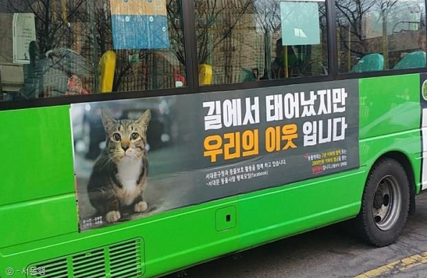 서대문구는 지난 2018년 1월 길고양이 마을버스 광고를 시작했다. 