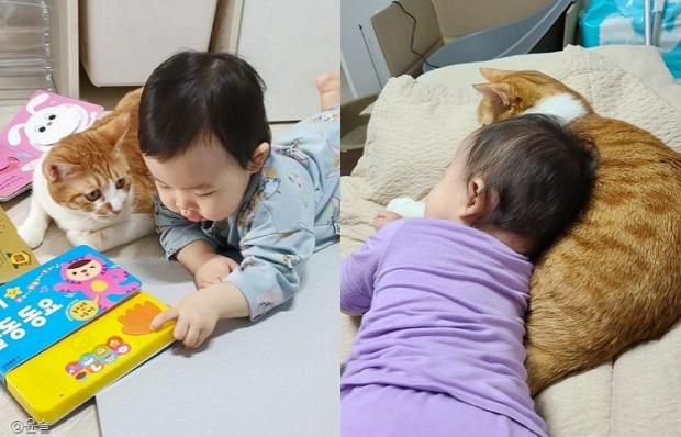 쏘스윗 이미지