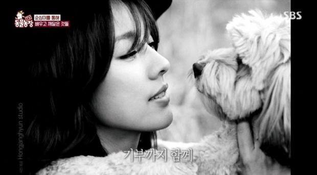 순심이 이미지