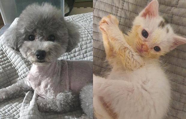 꿀잠 이미지
