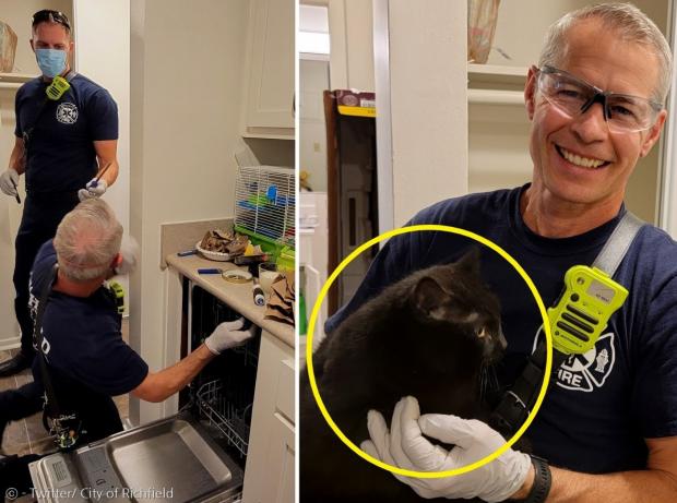 소방관이 식기세척기를 분해해서, 식기세척기 뒤에 낀 고양이 와들스(노란 원)를 구출했다. [출처: 리치필드 시]