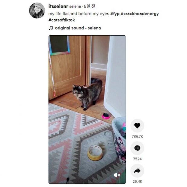 하얀언니 이미지